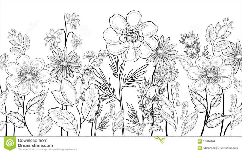 Цветок контурный рисунок