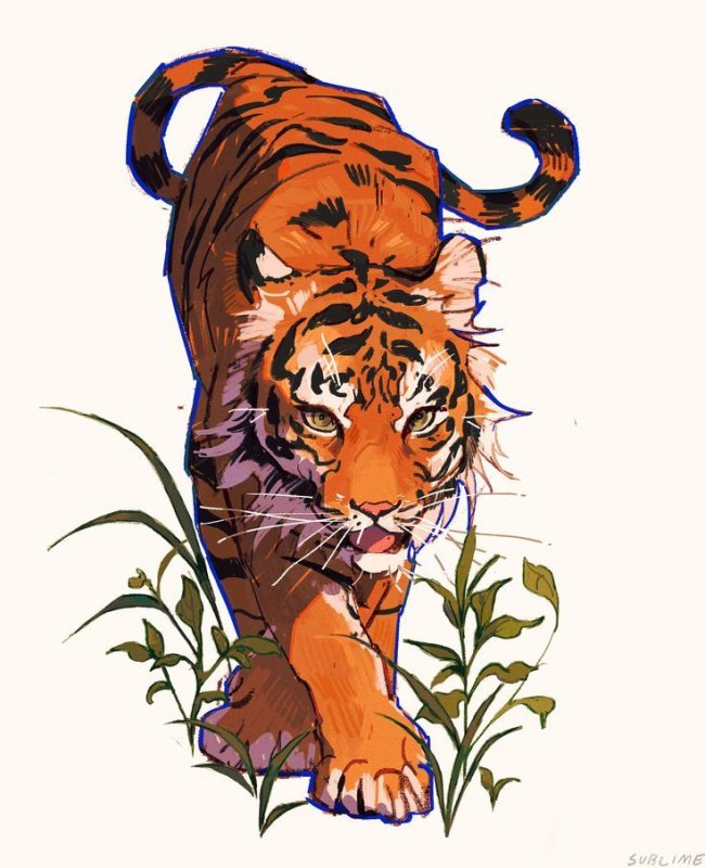 Смешной тигр рисунок