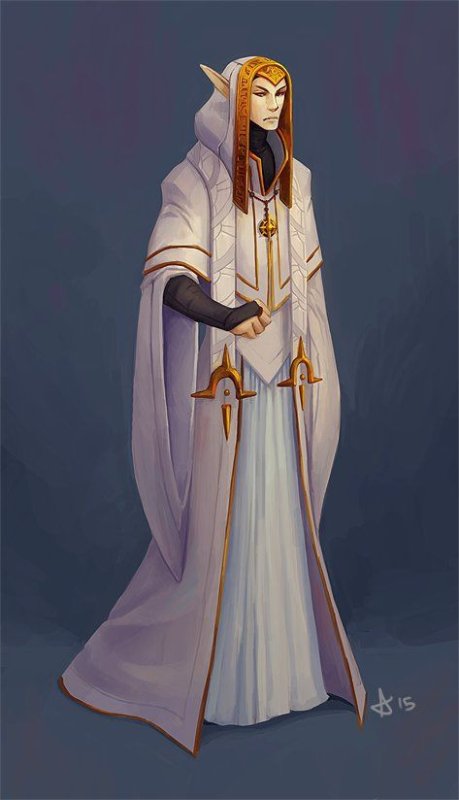 Жрец эльф арт