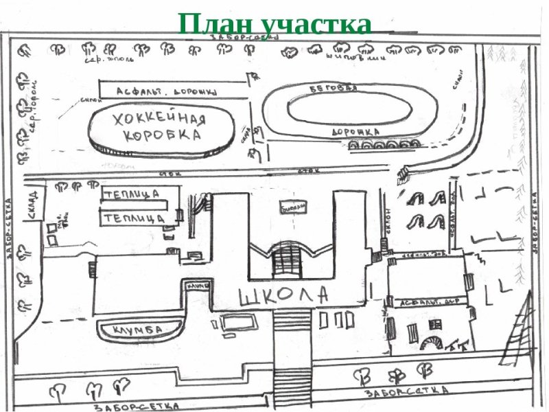 Топографический план двора