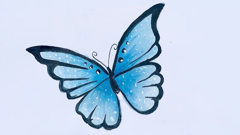 бабочка рисунок легкий и красивый