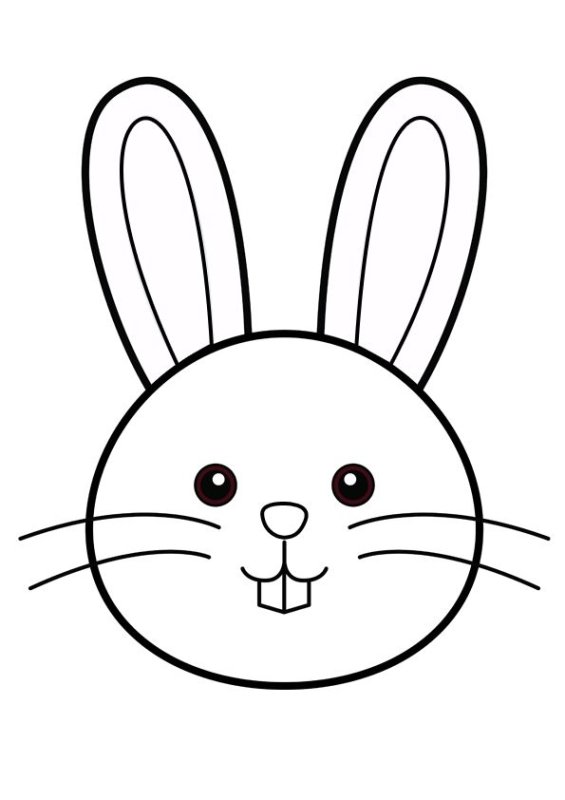 Мордочка зайчика