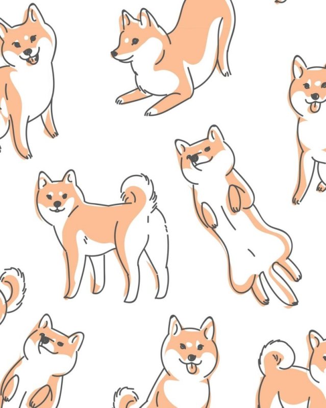 Сиба ину рисунок