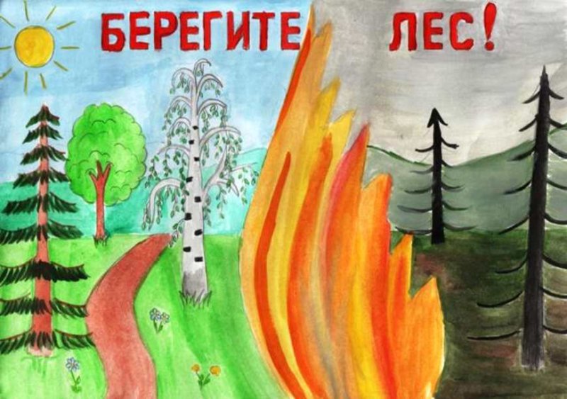 Плакат на тему берегите лес