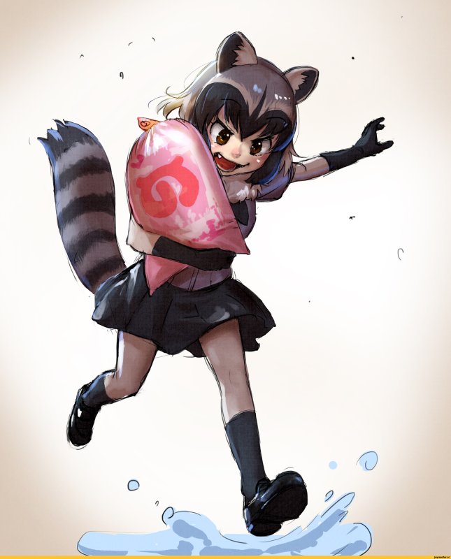 Kemono friends енот