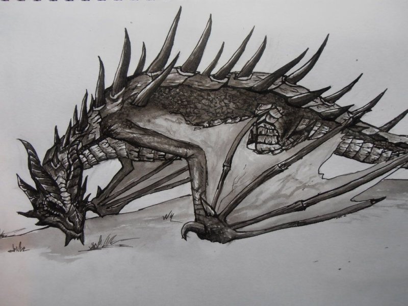 Рисунок дракона для срисовки