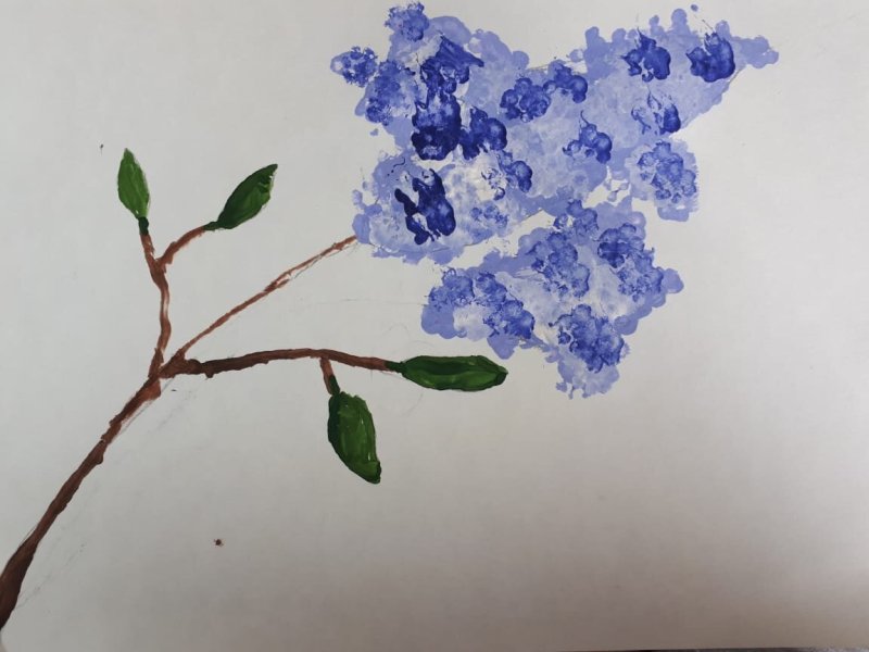 Рисование сирени ватными палочками