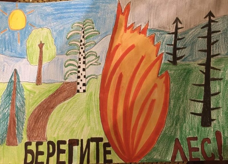 Рисунок на тему берегите лес