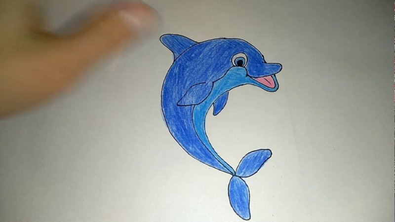 Дельфин рисунок для детей