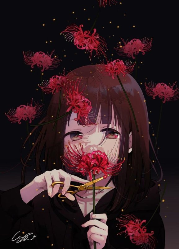 Хиганбана ликорис anime