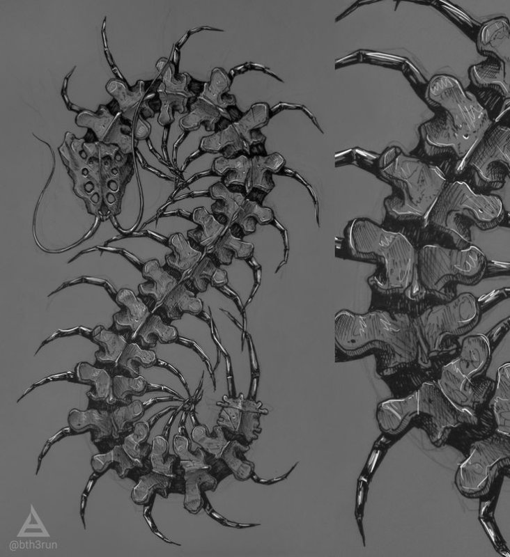 эскиз тату сколопендра