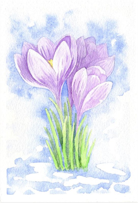 Первоцветы (подснежники, крокусы, гиацинты).