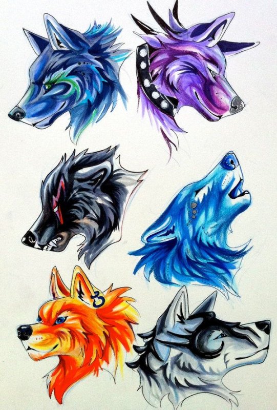 Рисунки Волков