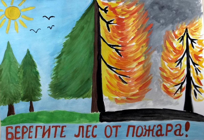 Береги лес от пожара рисунки