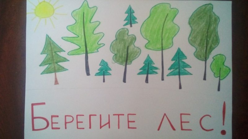 Берегите лес