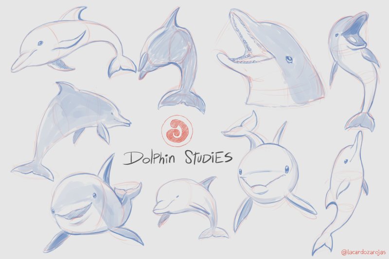 дельфин референсы