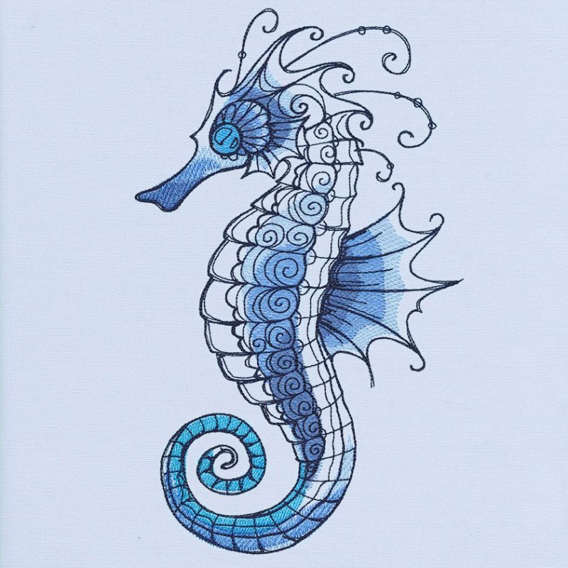 Морской конек