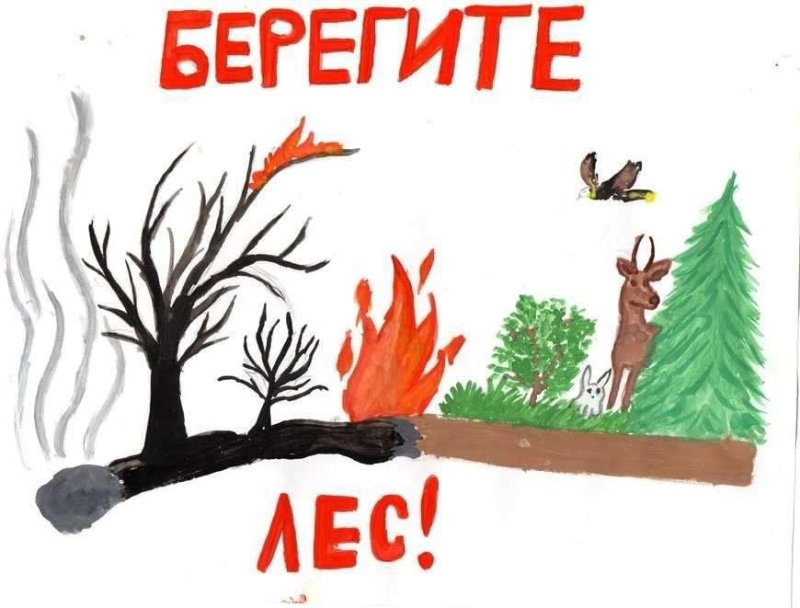 Плакат береги лес от пожара рисунки