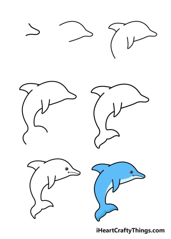 Легкий рисунок дельфина