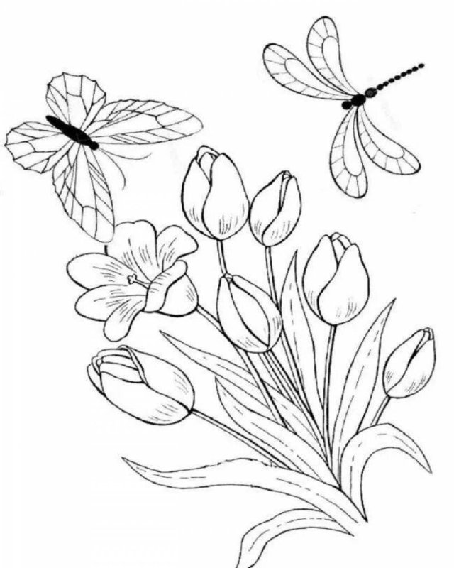 Цветы. Раскраска