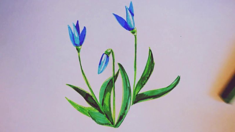 Рисование первоцветы