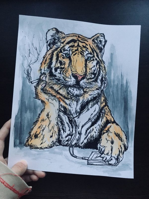 Тигр арт рисунок