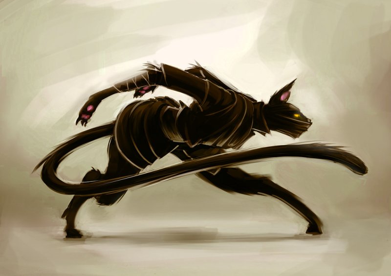 Аниме ниндзя с кошкой