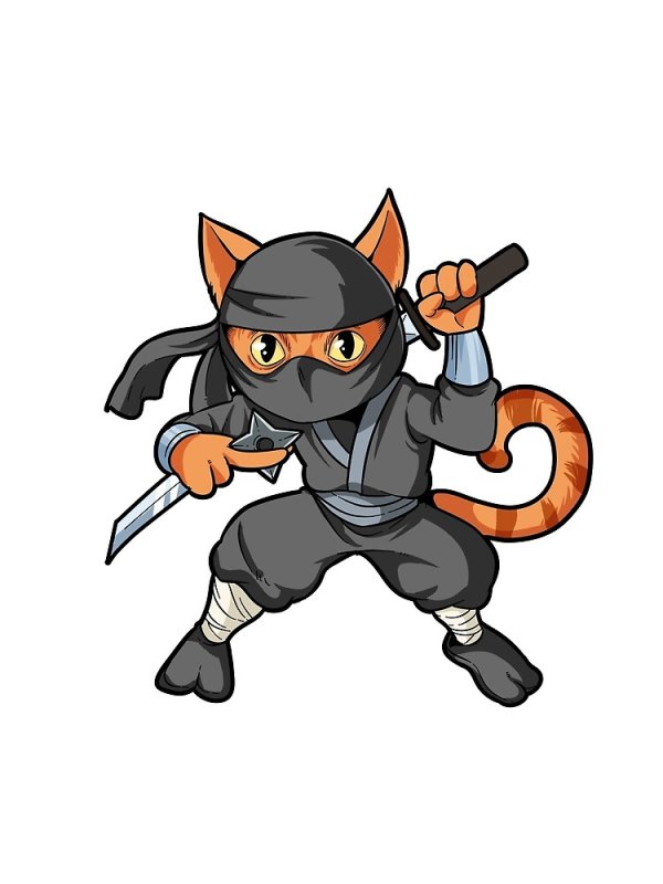Аниме ниндзя с кошкой