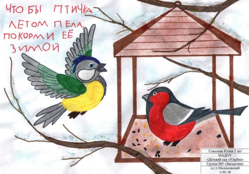 Рисунок на тему птицы