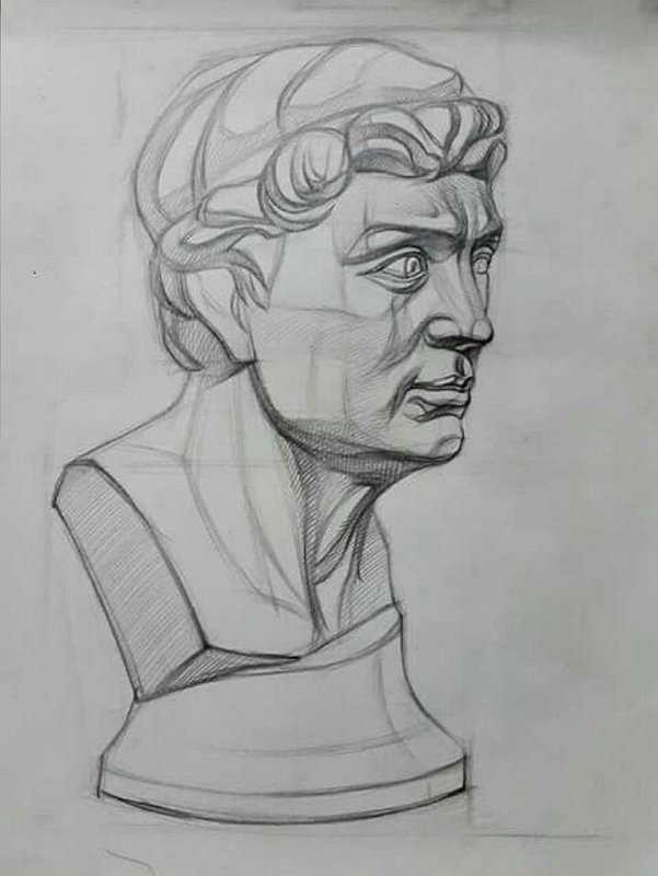 Сенека рисунок гипсовой головы