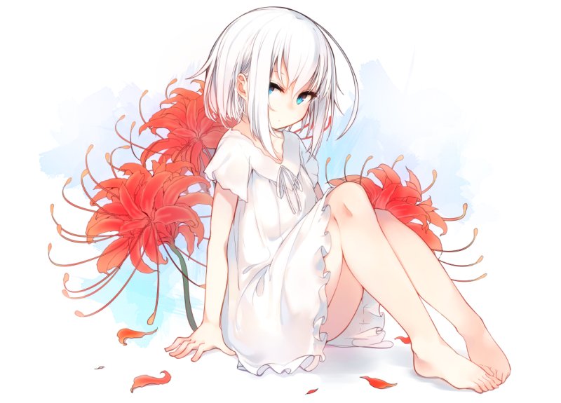 Аниме Ringo-chan (haegiwa)