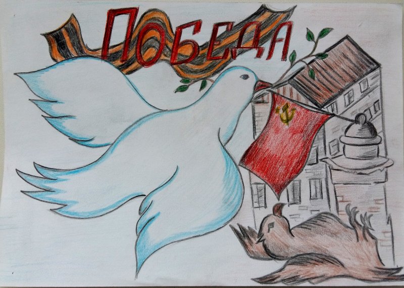 Рисунок ко Дню Победы с голубем