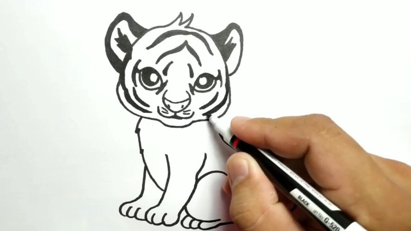 Тигр карандашом легко