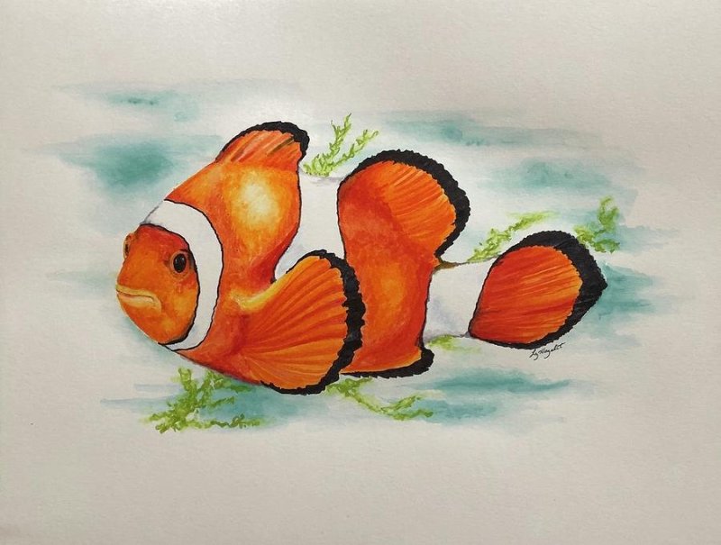 Рисование рыбки