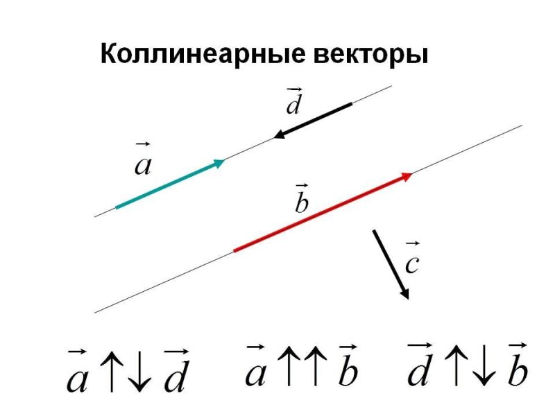Сонаправленные коллинеарные противоположные вектора