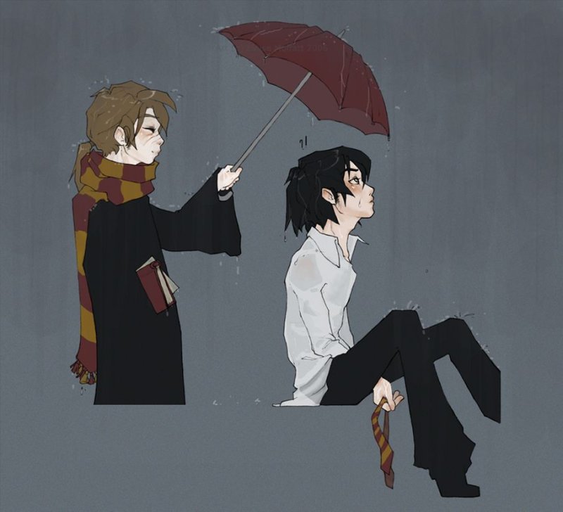 Сириус и Северус Ремус