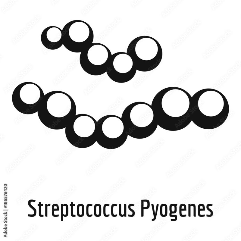 Стрептококки рисунок