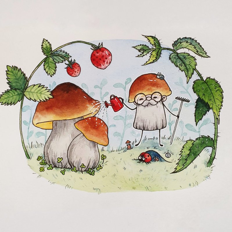«Грибы для белки» (Комарова, с.36)