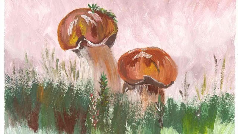 Рисование гуашью грибы