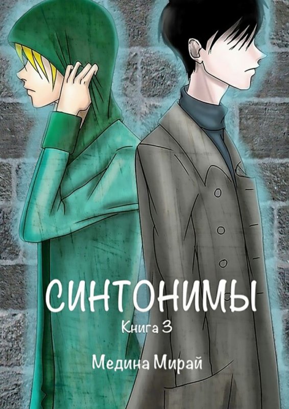 Синонимы книга Медина Мирай
