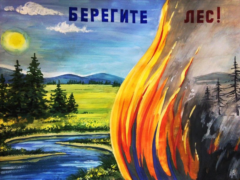 Плакат берегите лес от пожара
