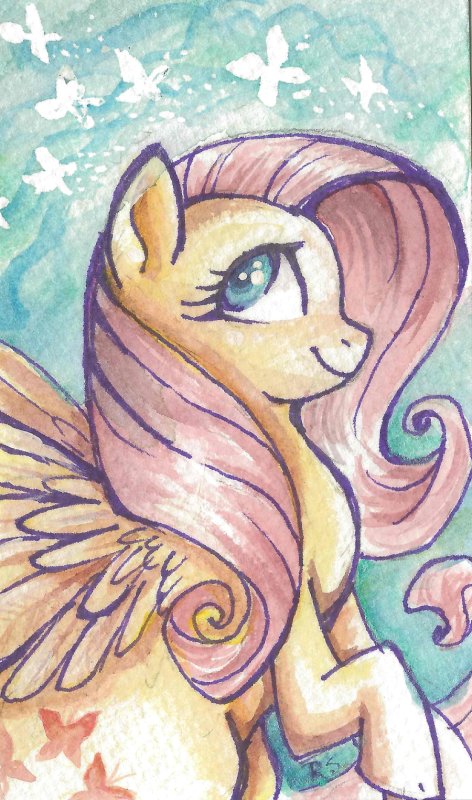 My little Pony Флаттершай