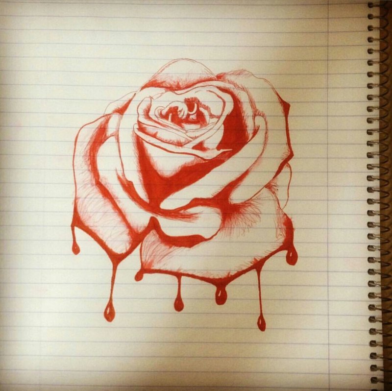 Рисунок розы для срисовки