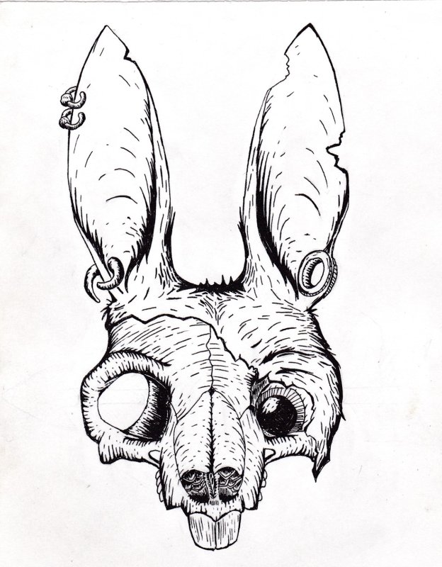 Череп кролика рисунок
