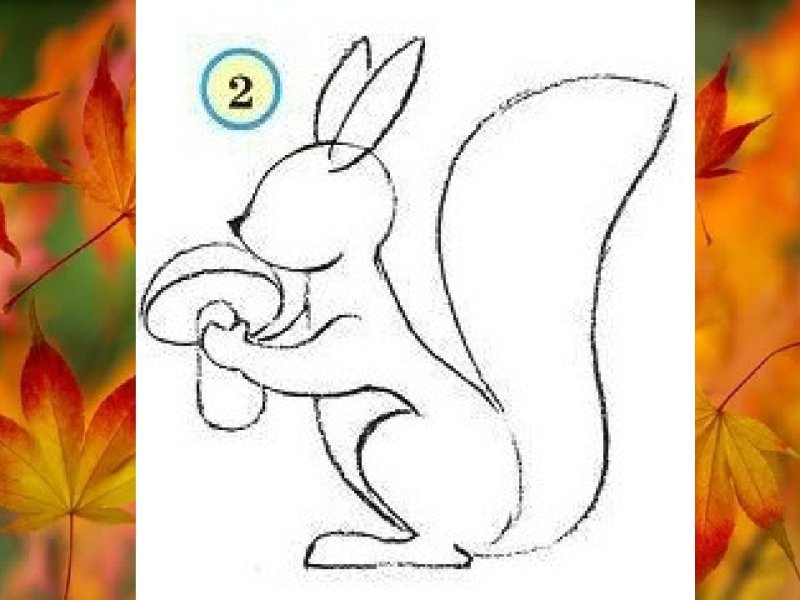 поэтапное рисование белки
