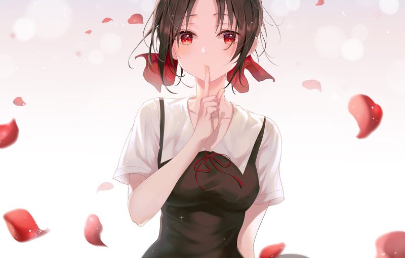 Кагуя Синомия