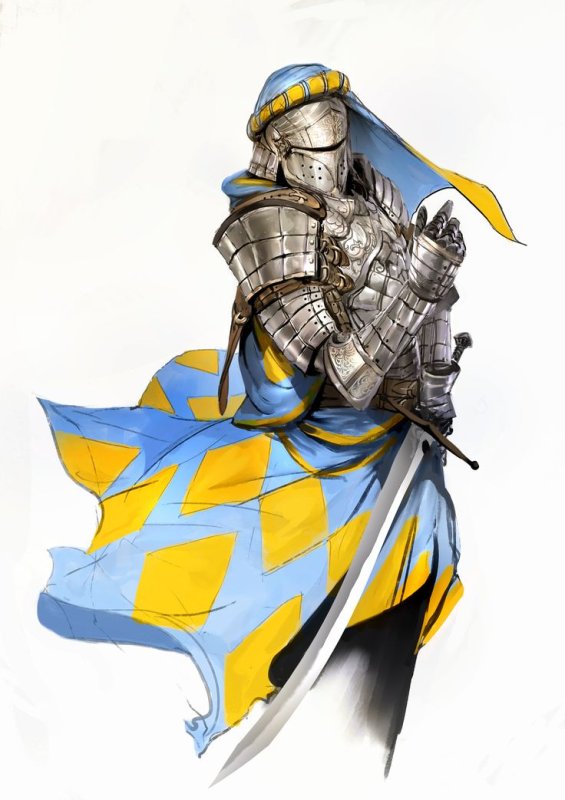 kekai kotaki рыцари