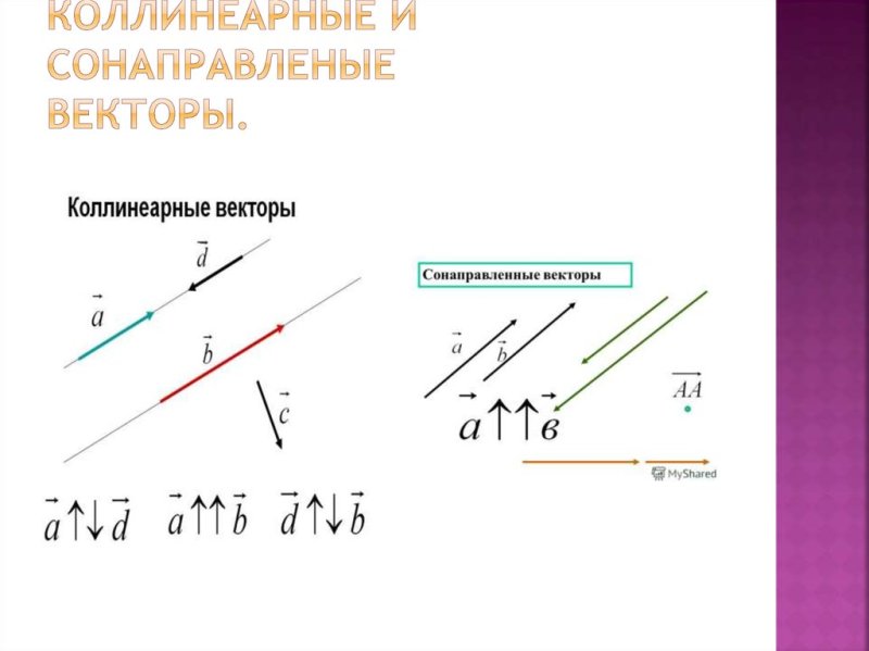 Коллинеарные векторы рисунок