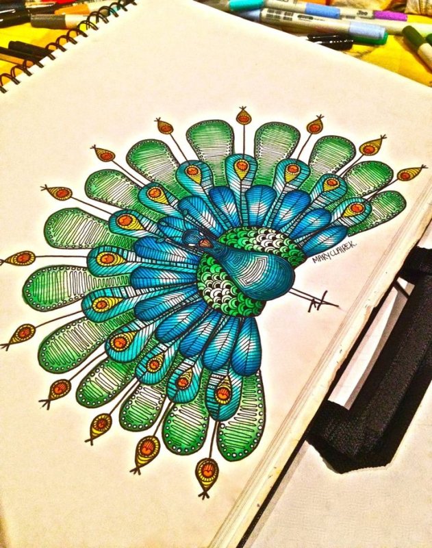 Рисунок павлина