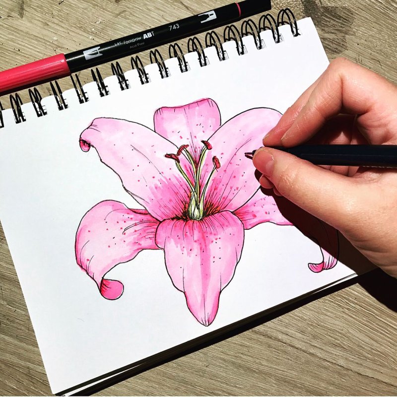 Рисунки для скетчбука